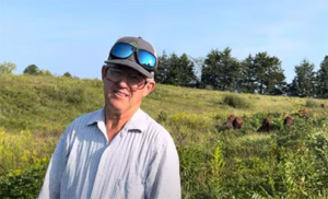 Greg Judy with his cattle foraging.