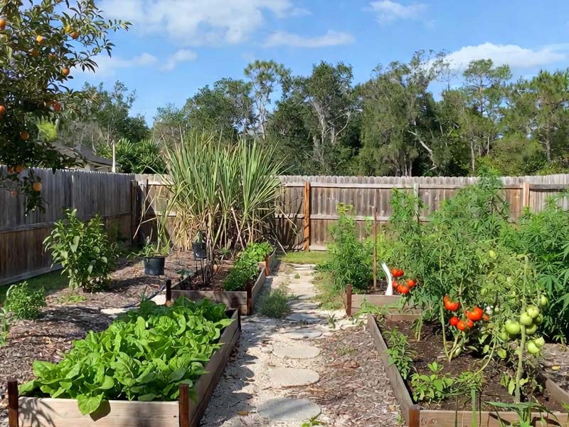 how to start and monetize a backyard garden