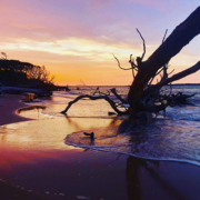 Sunset at Boneyard beach near Jacksonville Florida.
