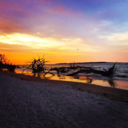 A great shot of the sun setting at Boneyard beach.