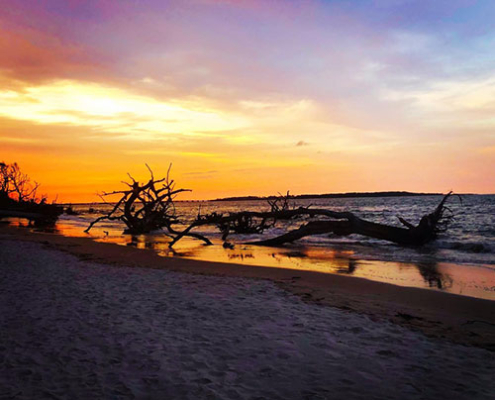 A great shot of the sun setting at Boneyard beach.