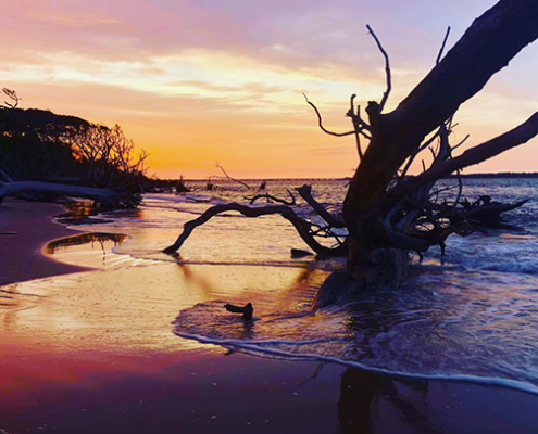 Sunset at Boneyard beach near Jacksonville Florida.