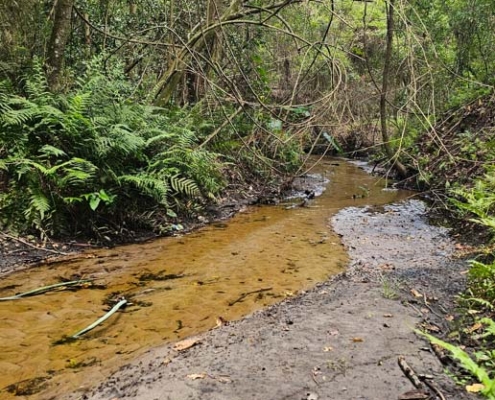 slow moving stream bulls bay preserve and waterfall