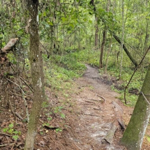 bulls bay preserve trail