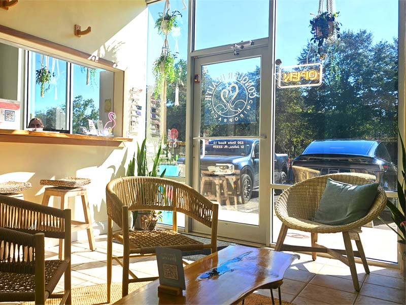 The waiting area at Conquer Health Chiropractic is a bright and sunny place.