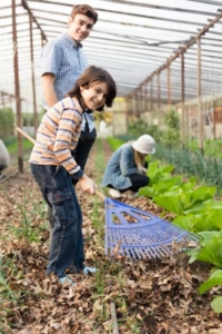 young gardeners having fun greenhouse
