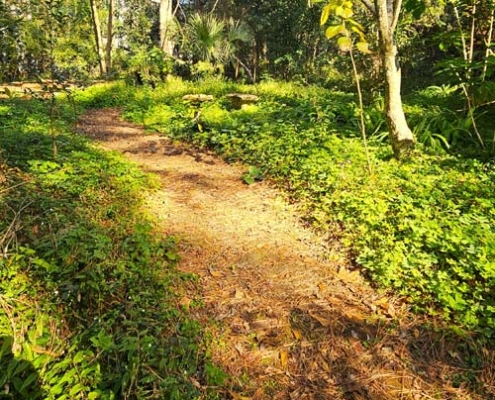 path at lichgate