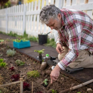 gardening in a community garden