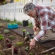 gardening in a community garden