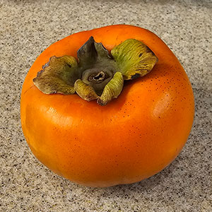 fuyu persimmon