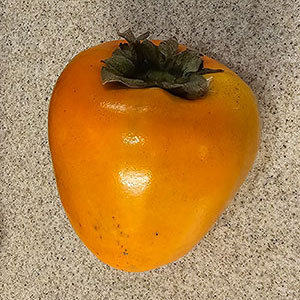 hachiya persimmon