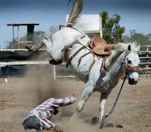 Cowboy rodeo