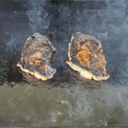 These steaks are making a lot of crust from the honey