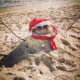 Santa sandman on St. George Island beach